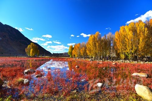 【2017年冬季四川甘孜州值得去的景點有哪些】冬季甘孜州旅游必去地點 【2017年冬季四川甘孜州值得去的景點有哪些】冬季甘孜州旅游必去地點