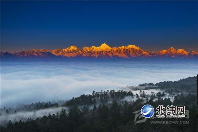 王崗坪 云海金山.jpg 王崗坪 云海金山.jpg