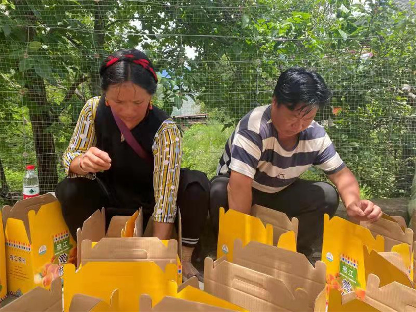 果農.jpg 果農.jpg