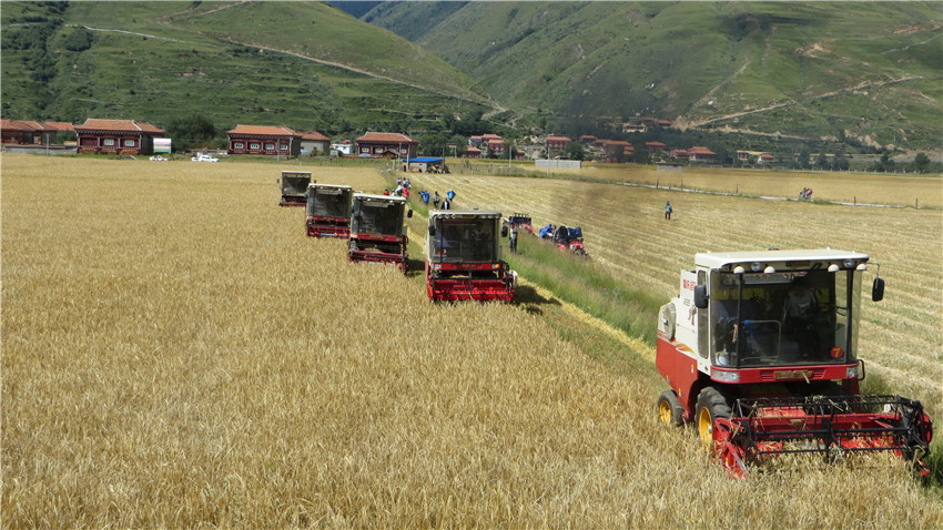 聯合收割機正.jpg 聯合收割機正.jpg