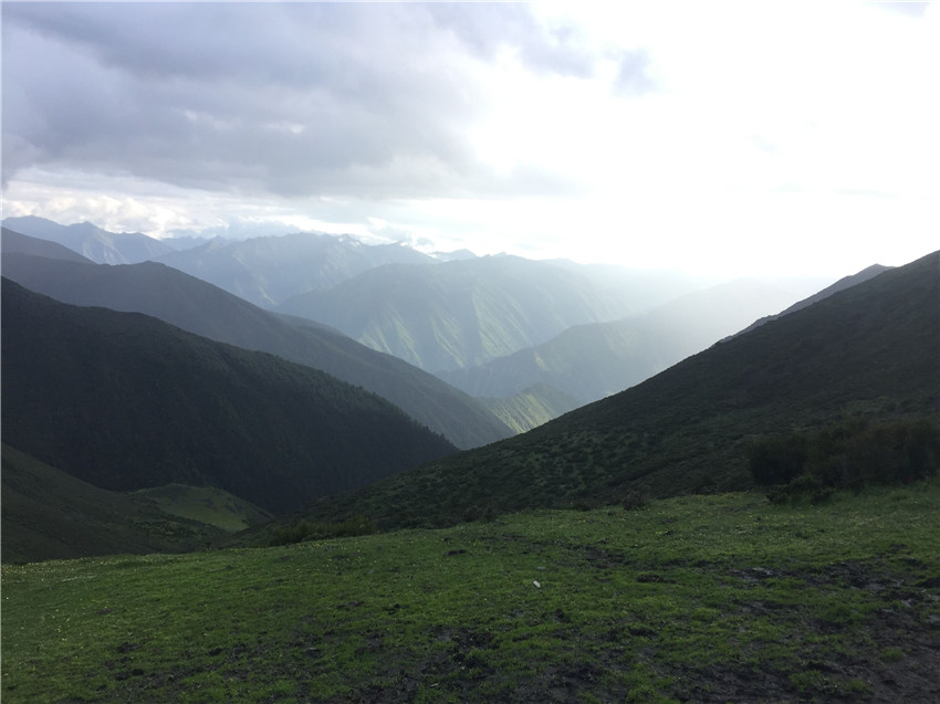 牧場遠(yuǎn)眺。.jpg 牧場遠(yuǎn)眺。.jpg