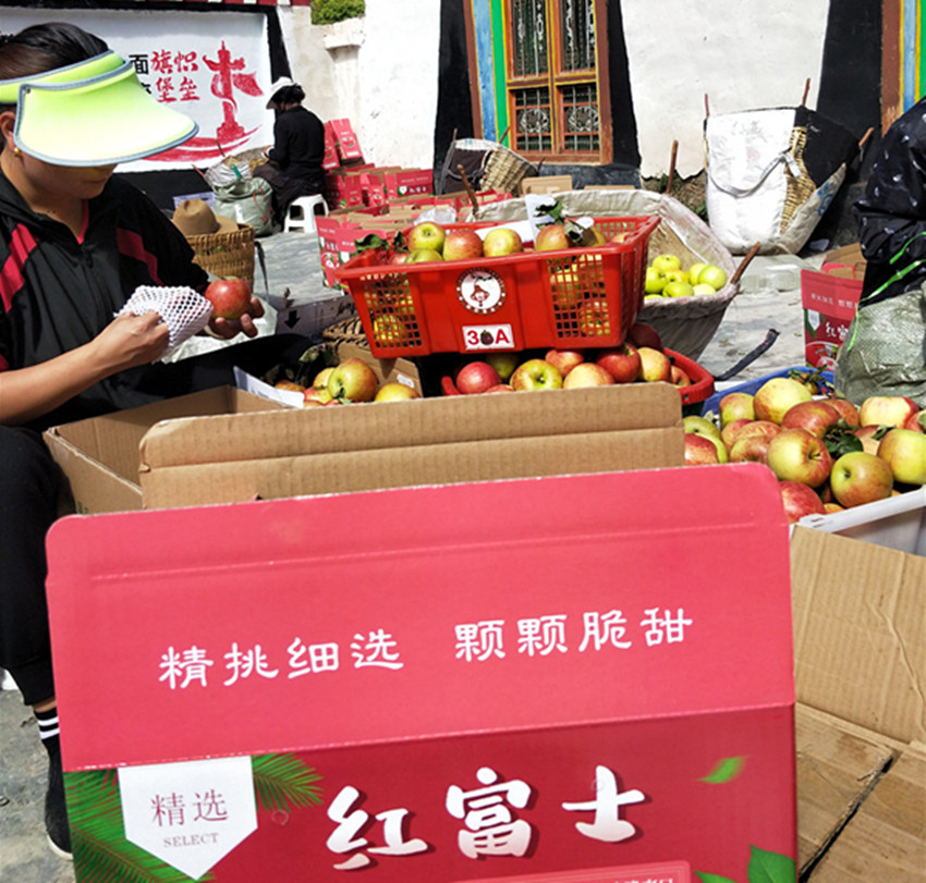 果農正在.jpg 果農正在.jpg