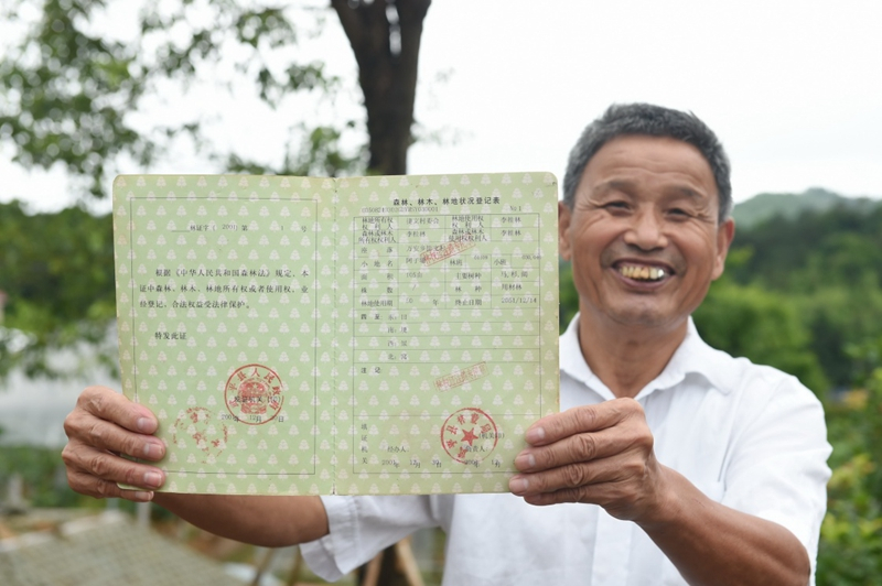 2017年6月13日,福建武平縣萬安鎮(zhèn)捷文村村民李桂林展示林權改革后領到的全國第一本新式林權證。