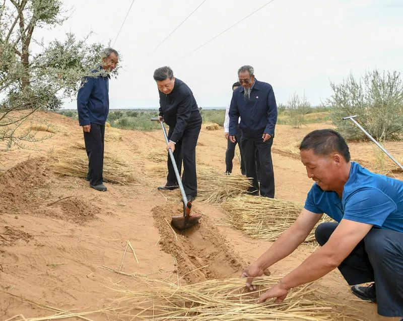 2019年8月21日,習近平來到甘肅省武威市古浪縣八步沙林場,實地察看當地治沙造林、生態保護等情況。新華社記者 謝環馳 攝