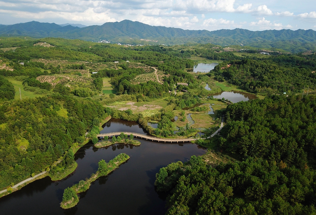 福建省龍巖市長汀縣的長汀汀江國家濕地公園景色(2020年7月28日攝,無人機照片)。新華社記者 魏培全 攝